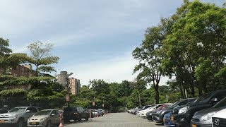 4xCarro, the app that protects the environment screenshot 1