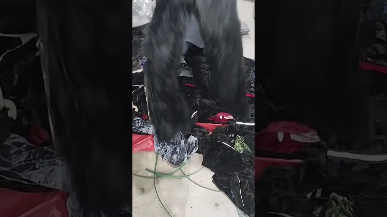 ویلویٹ پجام k555  40 کلو کا بنڈل 111 دانہ نکلا  ریٹ 27000