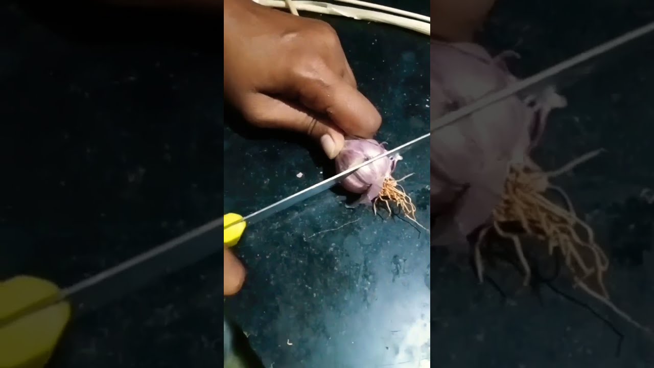 So strong desi Garlic 😜🔪💢 