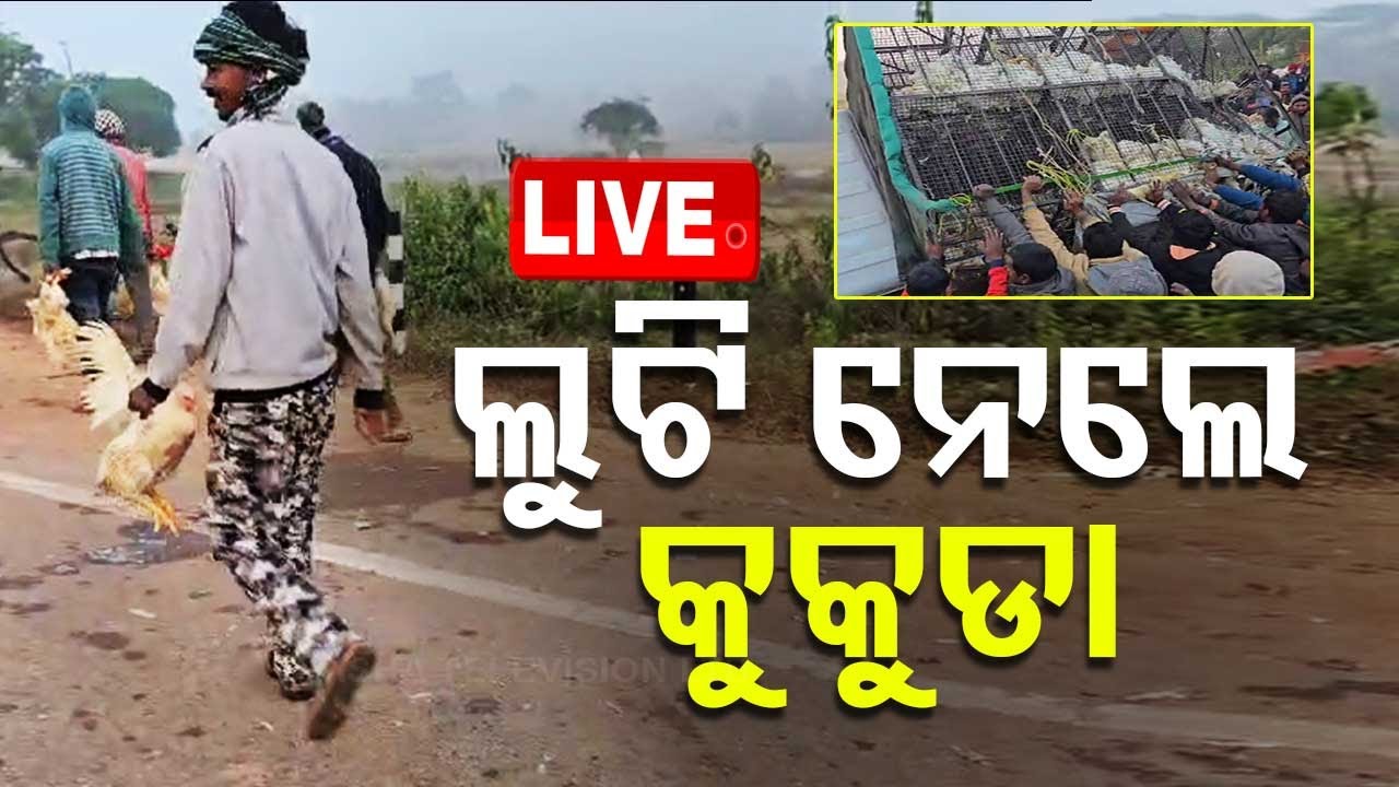 ????Live | ଓଲଟିଲା ଗଡ଼ି, ବୋହି ନେଲେ କୁକୁଡା | Road Accident | Chicken | Loot | Keonjhar