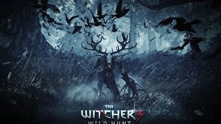 The Witcher 3 Roaring Fire Video Desktop Wallpaper Dreamscene