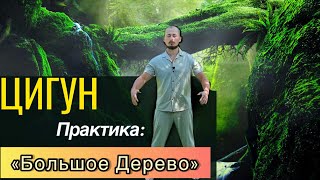 Цигун/Самая эффективная и древняя практика цигун/Упражнение цигун 