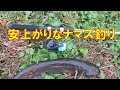 安上がりな、ナマズ釣り