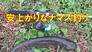 安上がりな、ナマズ釣り