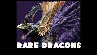 Dungeons and Dragons Lore: Drow, Sand, Purple and Cobra Dragons