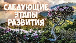 Софоос. О следующих этапах развития