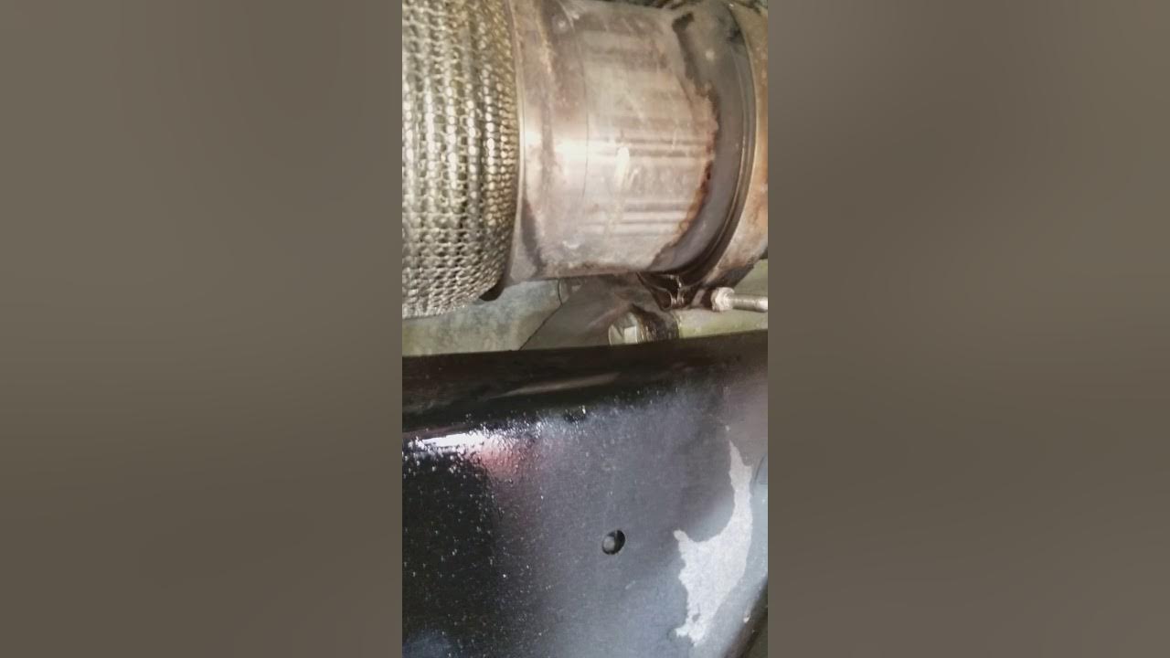 Leaking oil from muffler - YouTube