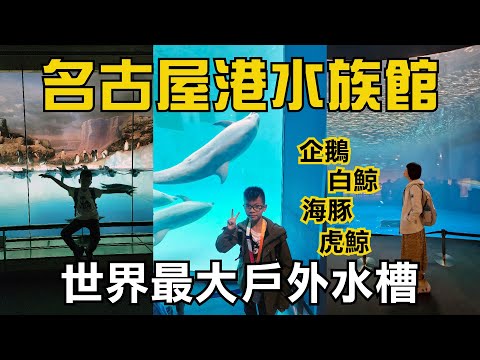 名古屋港水族館｜名古屋一日遊 海豚 企鵝 白鯨 虎鯨 海龜 世界最大戶外水槽