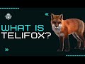 What is Telifox?