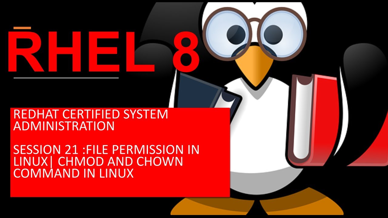 FILE PERMISSION IN LINUX | CHMOD AND CHOWN COMMAND IN LINUX | Session ...