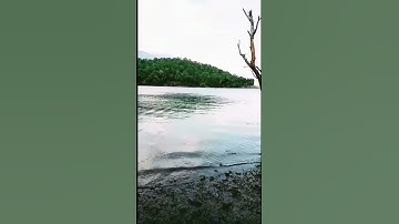 Pillur Dam Mettupalayam Coimbatore#Shorts , Tamilnadu|@RadiantTamila