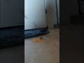 Lego car crash