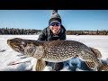 Ice Fishing for HUGE Northern Pike!
