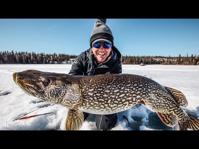 Ice Fishing for HUGE Northern Pike! 