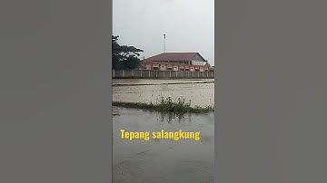 tepang salangkung #videoshort#shorts#lagusundapopuler