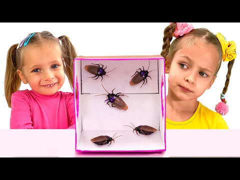 What's Inside the Box? Fun Songs for Kids with Maya and Mary!
