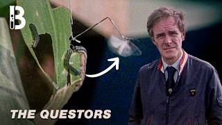How Scientists Built a Rig to Measure an Insects 21-Hour Flight | Blueprint