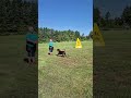 Untitled video