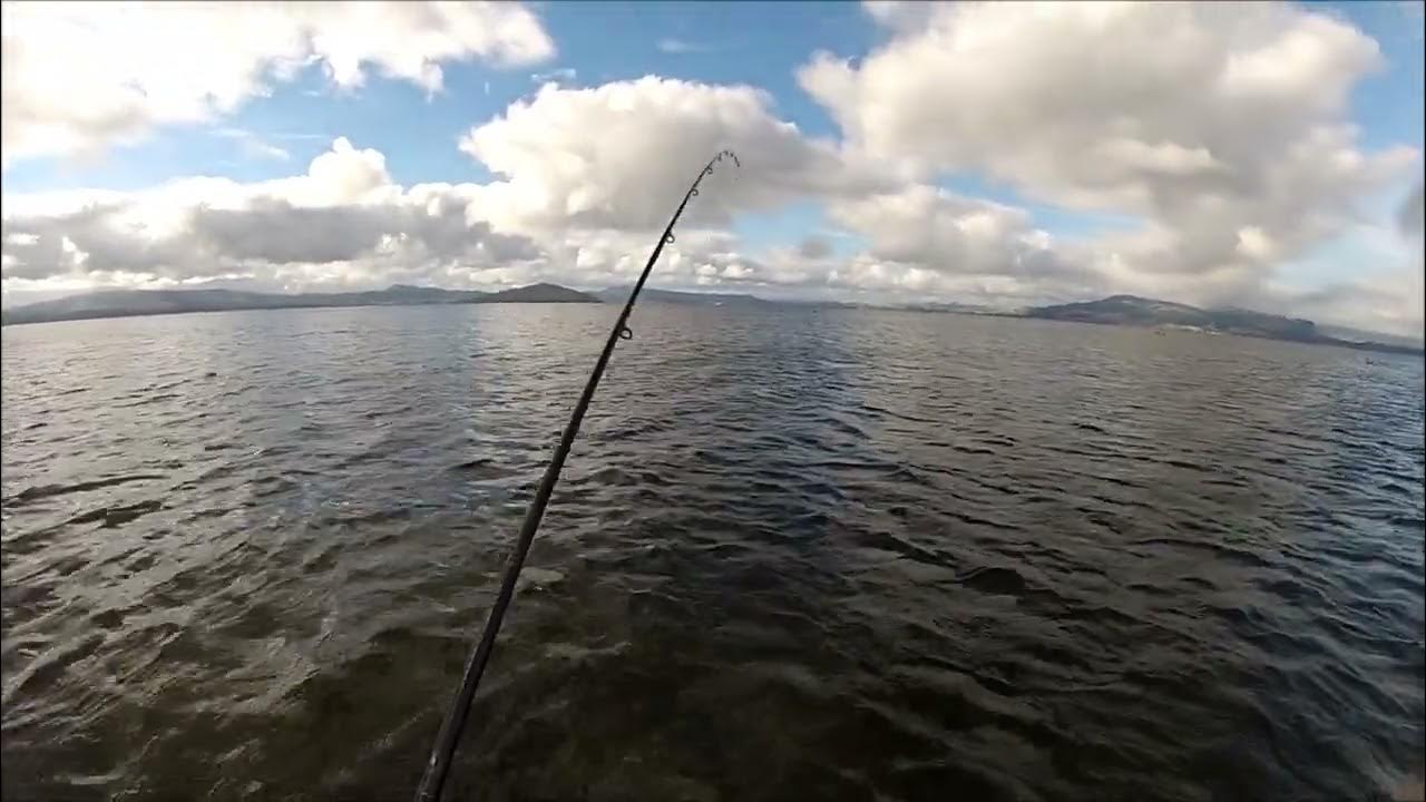 NEW ZEALAND TROUT FISHING GOLLY GOSH 6 YouTube
