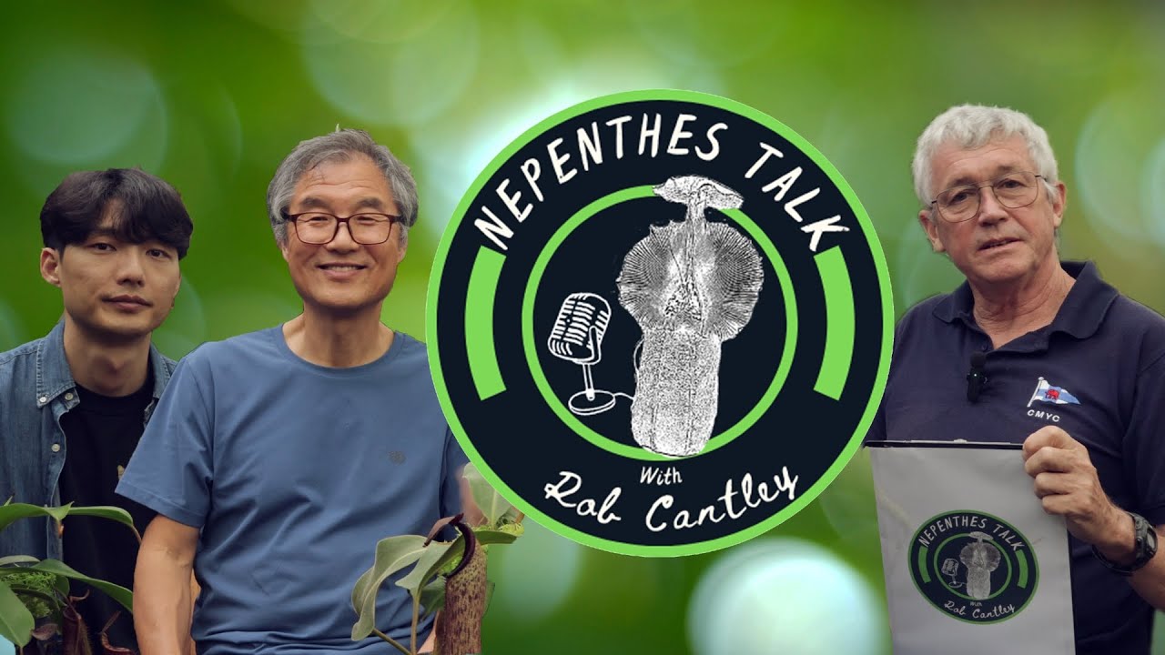 Nepenthes Talk with Rob Cantley - Episode 02 | Jooyong Kim 김주용 씨 - Nepen Korea 네펜코리아
