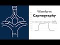 Waveform Capnography -- BAVLS