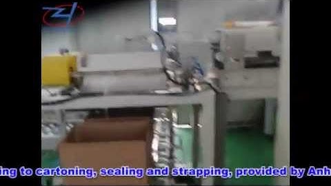 Automatic Packing and Cartoning Line - Zengran Pack