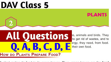 🌱Plants Solution|DAV Class 5 Science Chapter 2 Plants Question Answer|@CollectionOfStudy||