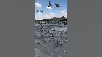 أذكار الصباح #اكسبلور #حب_النبي_يجمعنا #love #مسجد_قباء