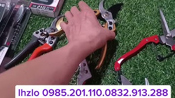 KÉO TỈA, KÉO CẮT CÀNH CÂY 🌲, CÂY #bonsai #SẮC BÉN #LAM VƯỜN