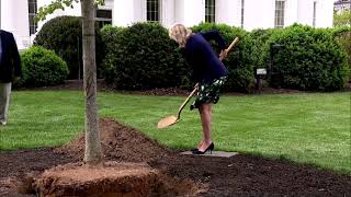 ‘Who doesn't plant trees in high heels?' First lady jokes