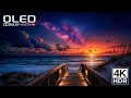 Unseen 4K Video OLED TEST | Dolby Vision 4K HDR 60fps (8K/4K Video TV)