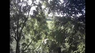 Syma D7000WH Drone Crash screenshot 5