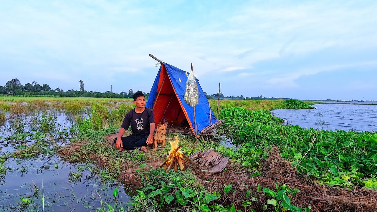 Camping in the flood zone | Pitching a tent on the floodwaters to catch fish and cook 