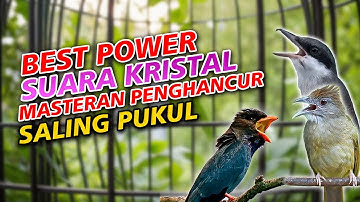 MASTERAN JINGJING PETULAK KAPAS TEMBAK TENGKEK BUTO POWER KRISTAL MESIN JAHIT AMPUH