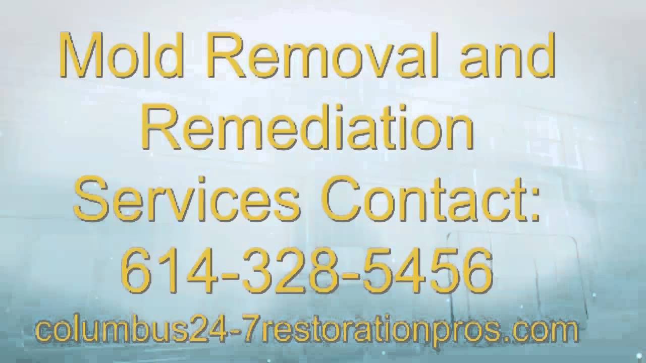 Dublin OH Mold Removal and Mold Remediation Restoration Experts