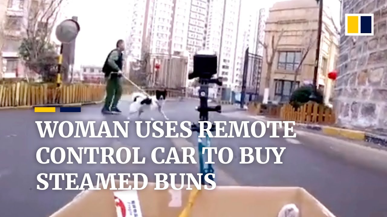 dog proof remote control car