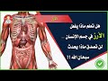فوائد الارز للشعر فوائد الارز للبشره فوائد الارز باللبن فوائد الارز لمرضى السكر فوائد الارز 
