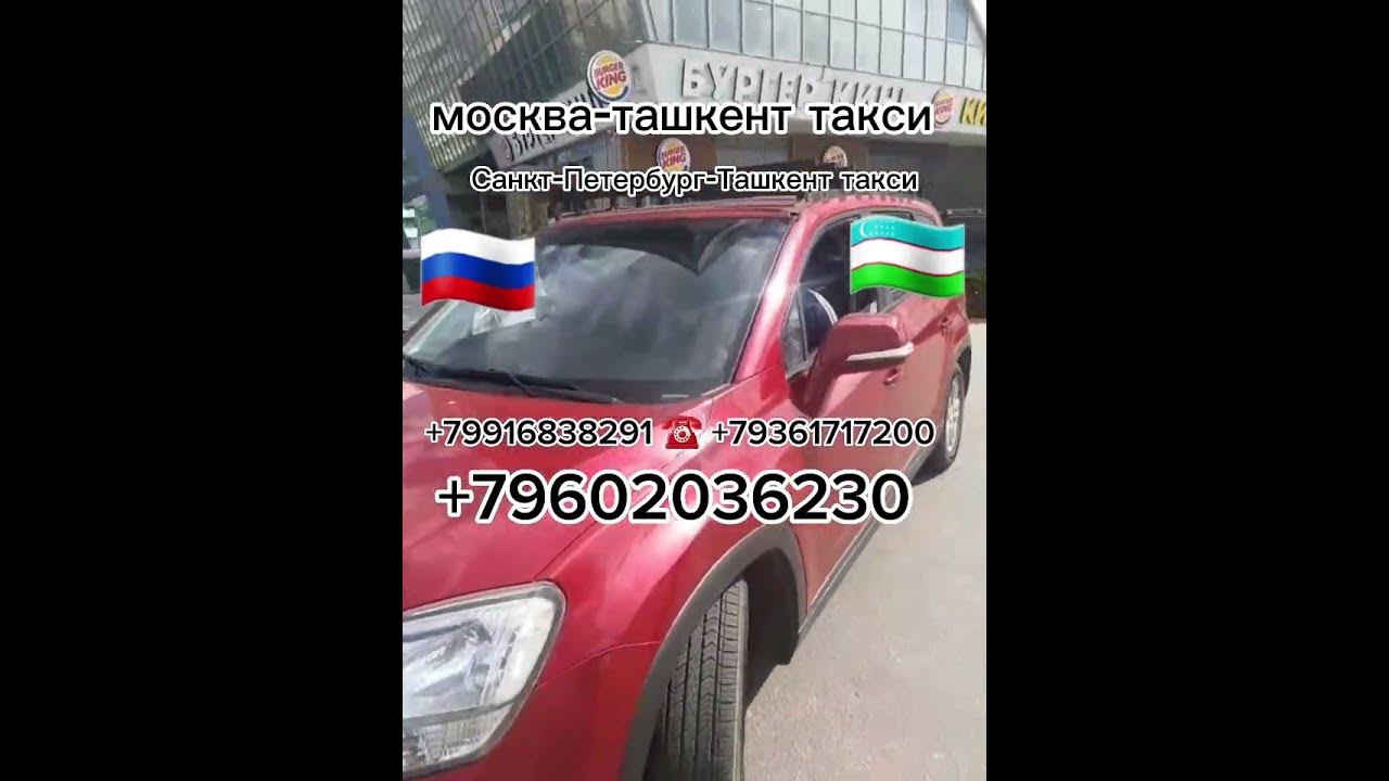 Санкт петербург ташкент такси. Такси масква узбекистон. Москва ташкент такси. Москва ташкент такси. Москва ташкент такси.