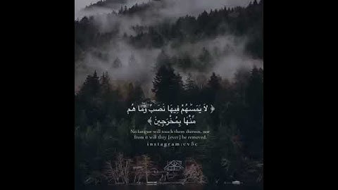 سورة الحجر( ان المتقين في جنات وعيون)