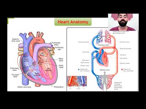 Lec1 Cardiovascular System Physiology Part1