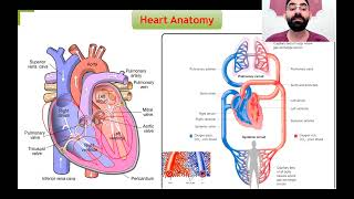 lec1 Cardiovascular system physiology part1