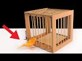 How to Make a Bird Trap from Cardboard (DIY Projects!)