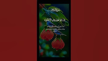 القران الكريم راحة نفسية تلاوة خاشعة حالات واتساب قران كريم 🩵💜❤️ #حالات_واتس_اب #المصحف #دويتو