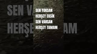 Seni Sevmediğim yalan #ibrahimtatlıses #imparator #yalan #arabesk #damar #pop #rock #arabic