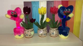 Tulips Red, Burgundy, Yellow & Huggy Wuggy Pink And Blue Dancing And Singing Together. Thk