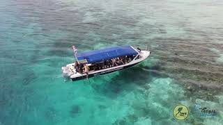 Sipadan 5 highlight 五大天王 Full compilation 3 songs drone UW Sipadan 5 highlight 五大天王 Full compilation 3 songs drone UW