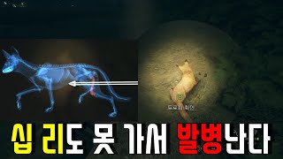 더 헌터 야생에서 여우 사냥 screenshot 2