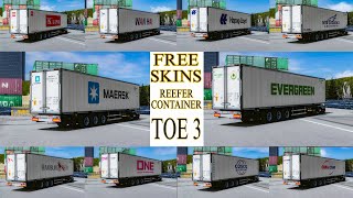 Skin TOE3 (Truckers Of Europe 3) Reefer Container | closed box skins