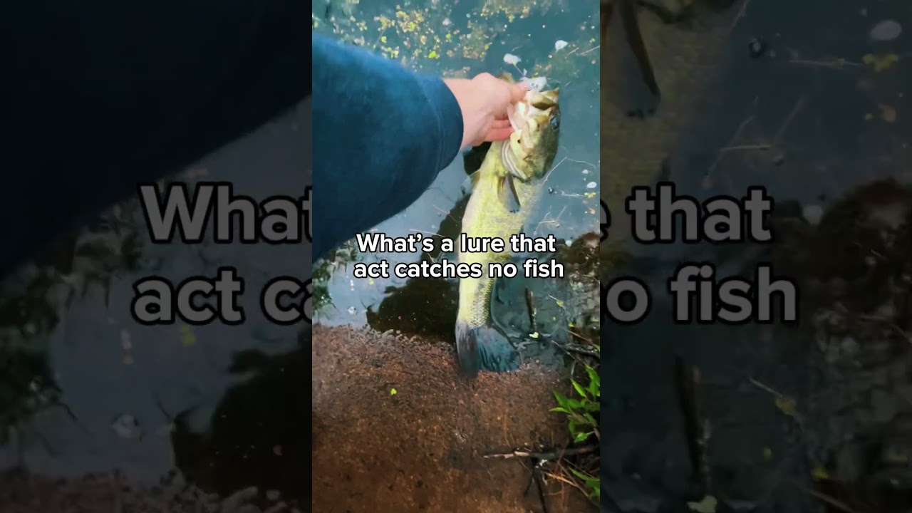 What lure act catches no fish?? 