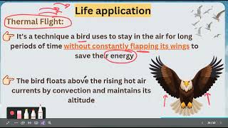 Chapter 2 Lesson 3 Sec 1 1 Term 1